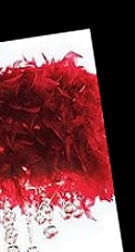 Red Feather  Crystal Pendant Light