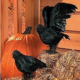 Feathered Crows halloween decorations